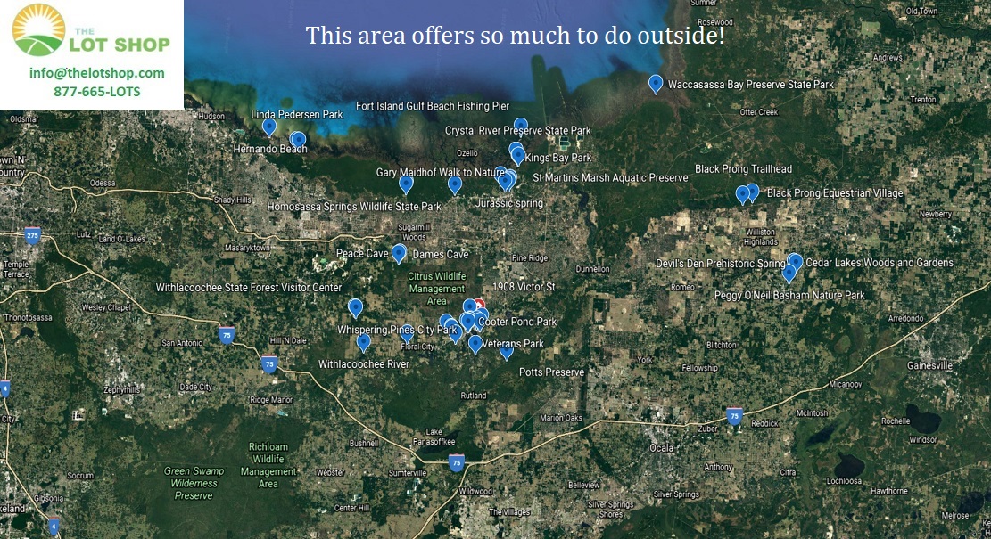 Slide 8
